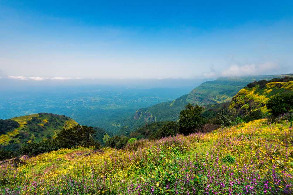 Travel Image 4